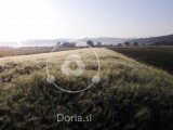 Polje sveta (digitalna fotografija)