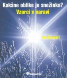 Kakšne oblike je snežinka?
