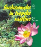 SREDOZEMSKE IN TROPSKE RASTLINE