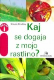 KAJ SE DOGAJA Z MOJO RASTLINO?