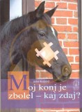 Moj konj je zbolel - kaj zdaj?