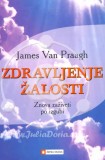 Zdravljenje žalosti 