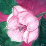 Cvet magnolije (slika)