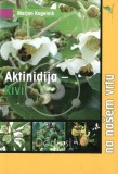 AKTINIDIJA – KIVI NA NAŠEM VRTU