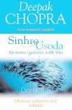 Sinhrousoda - Spontana izpolnitev vaših želja