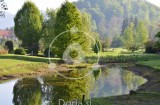 Jezerce z zrcalnimi odsevi dreves 1 (digitalna fotografija)