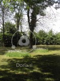 Nepokošeni gredici ivanjščic v grajskem parku pri gradu Fužine (digitalna fotografija)