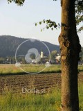 Polje in cerkvica sv. Nikolaja nad vasjo Bizovik (digitalna fotografija)